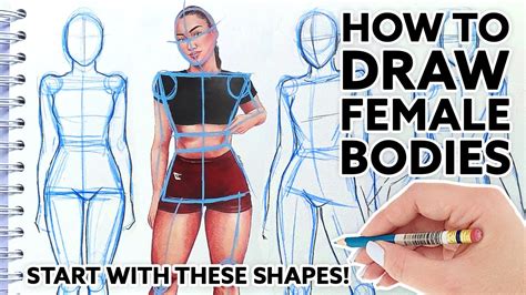 drawing woman body step step|how to draw anatomy.